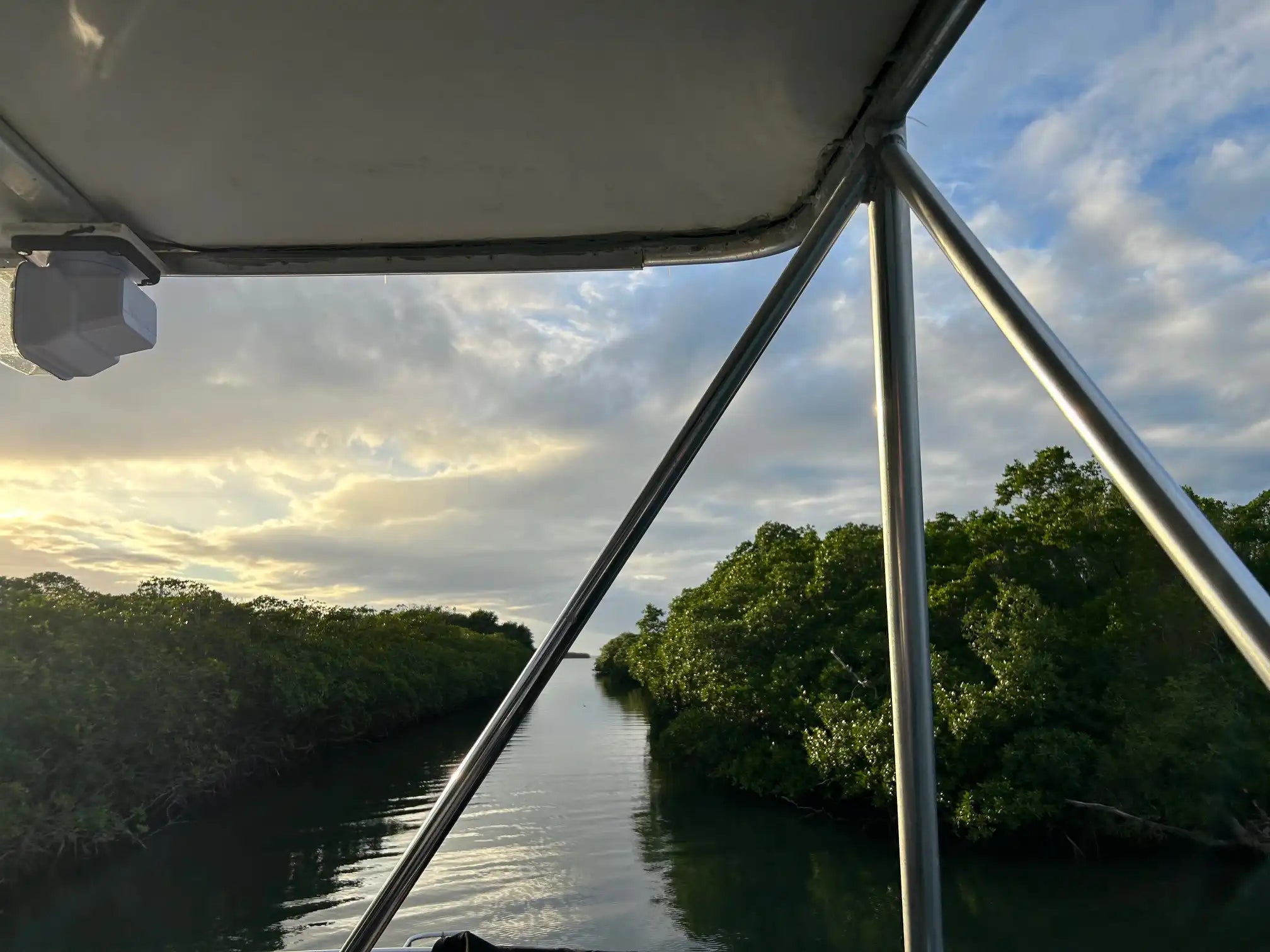 View from a boat on a river with mangrove trees and a cloudy sky.